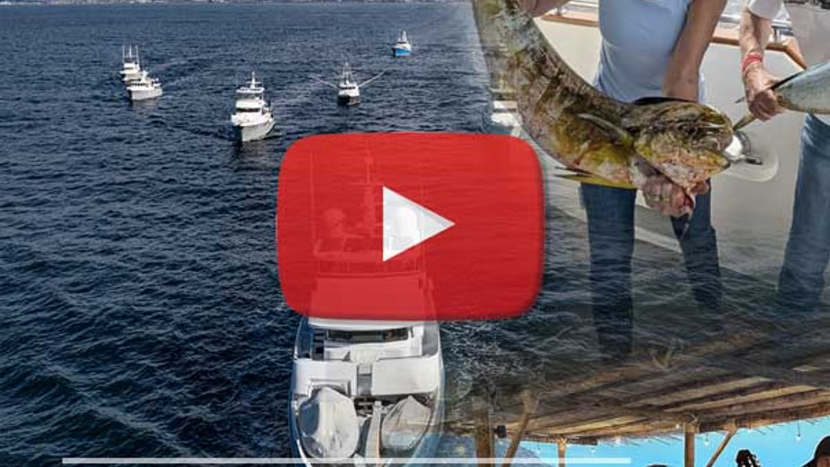 Nordhavn 2026 TACO RUN video